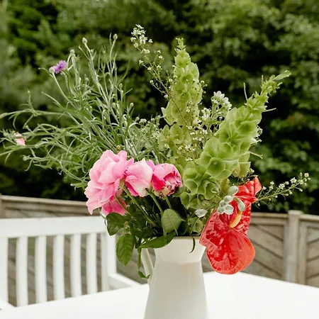 Casa vacanze With Tranquility And Space For Play *